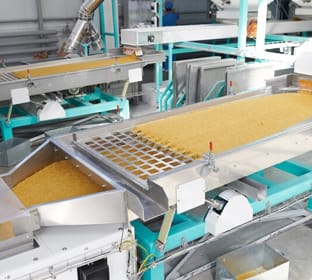 food beverage consulting
